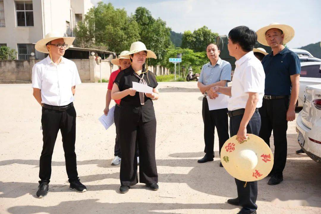 6月12日下午,长汀县委副书记,县长吕莉带队调研生态环境综合整治工作