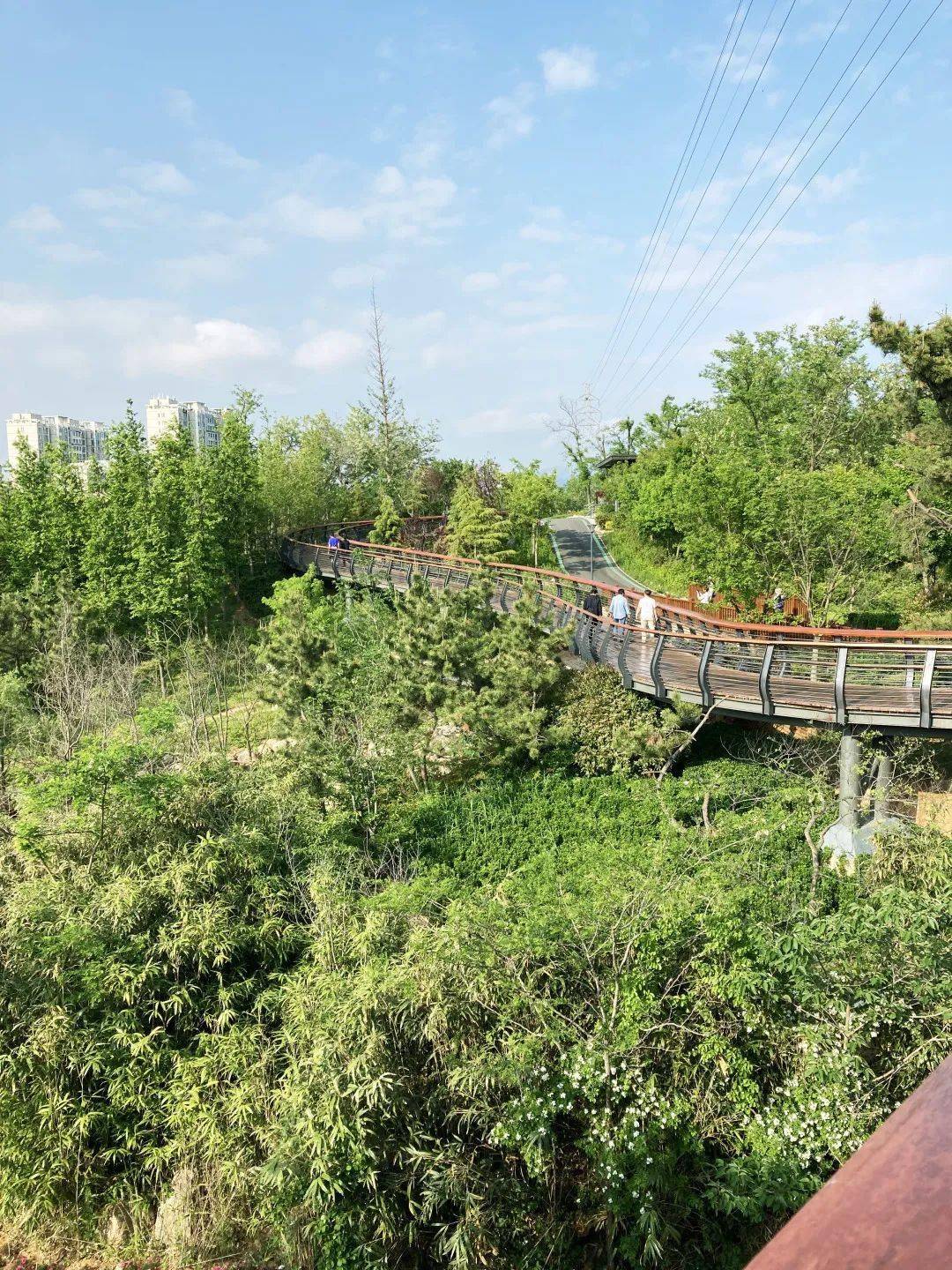 青岛浮山森林公园入口图片