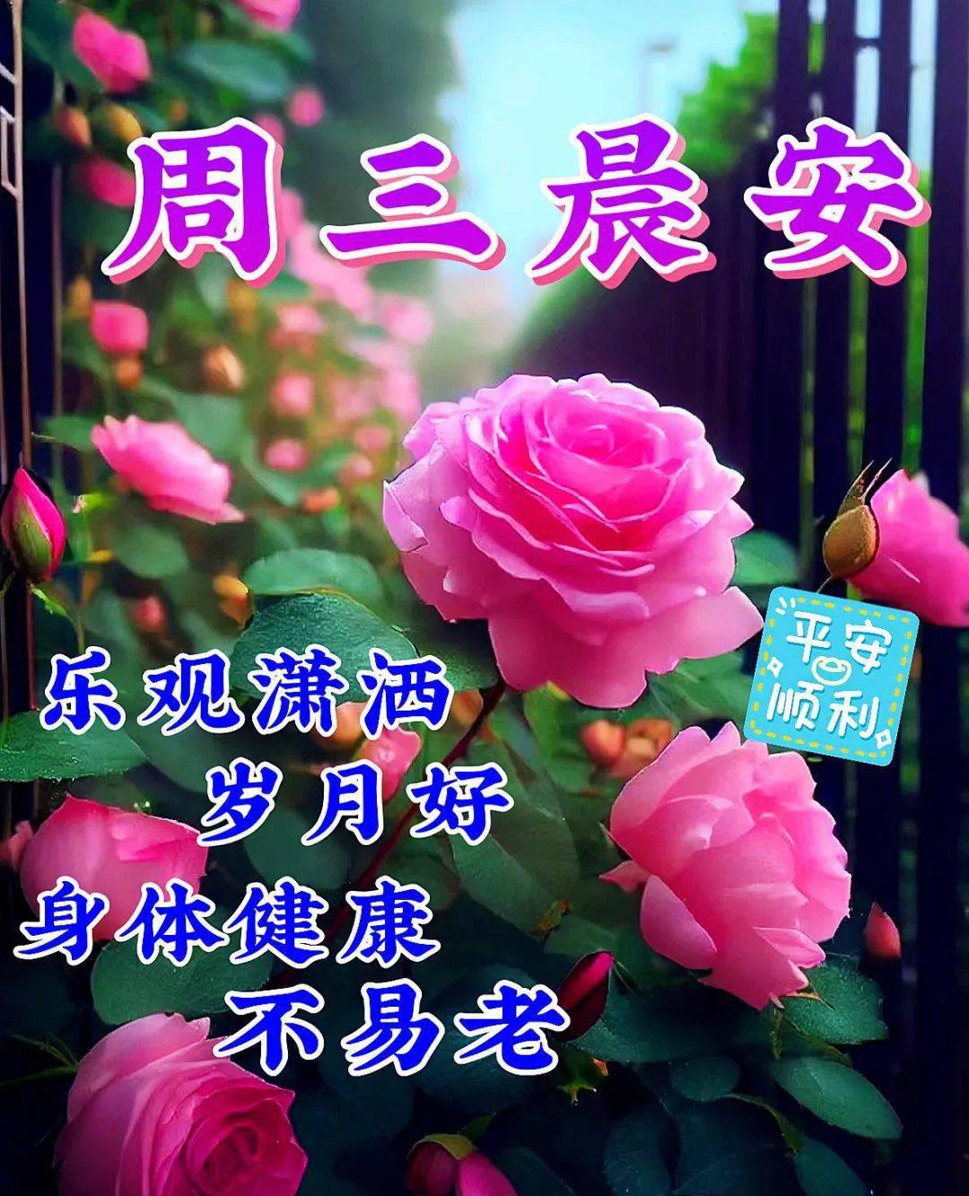 6月14日周三,微信唯美早上好的问候语祝福图片_平安_朋友_生活