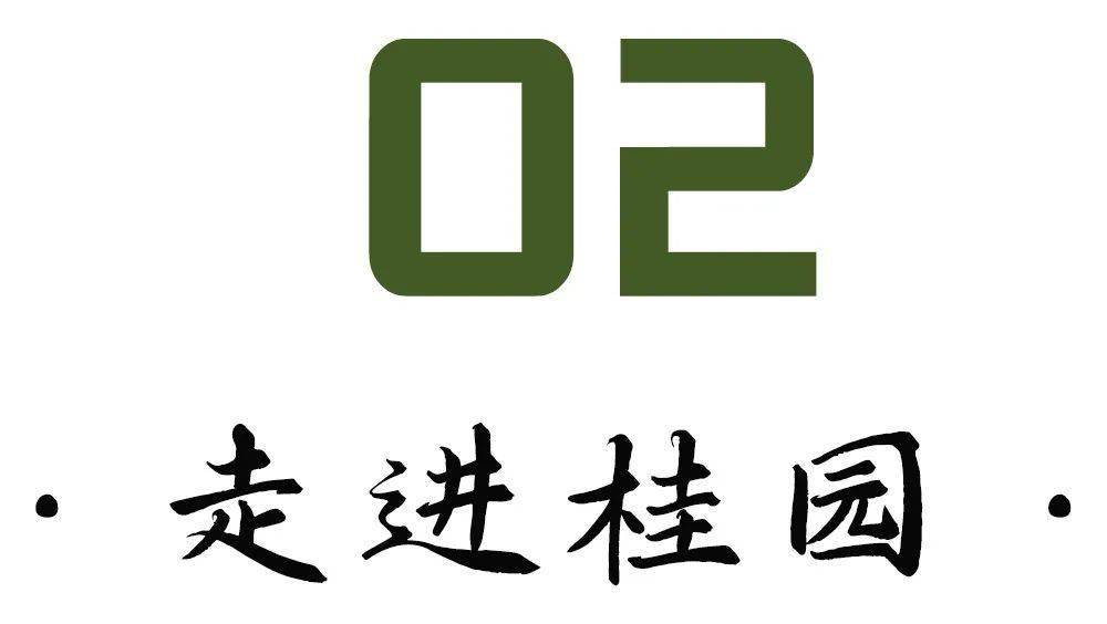 桂園不大,因為在這裡,轉個身或許就能碰見左鄰右舍;邊走邊能聽見,街坊