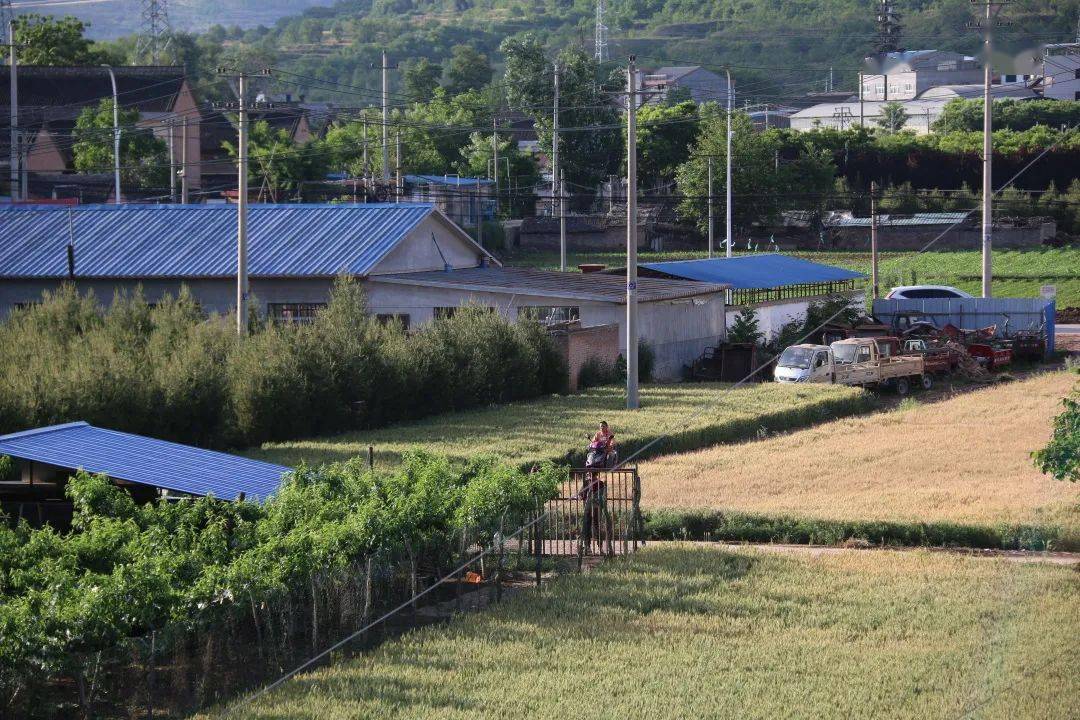 不斷增強線路的巡檢水平,他們深入田間地頭,對河溝村,鄭家溝村和菜園