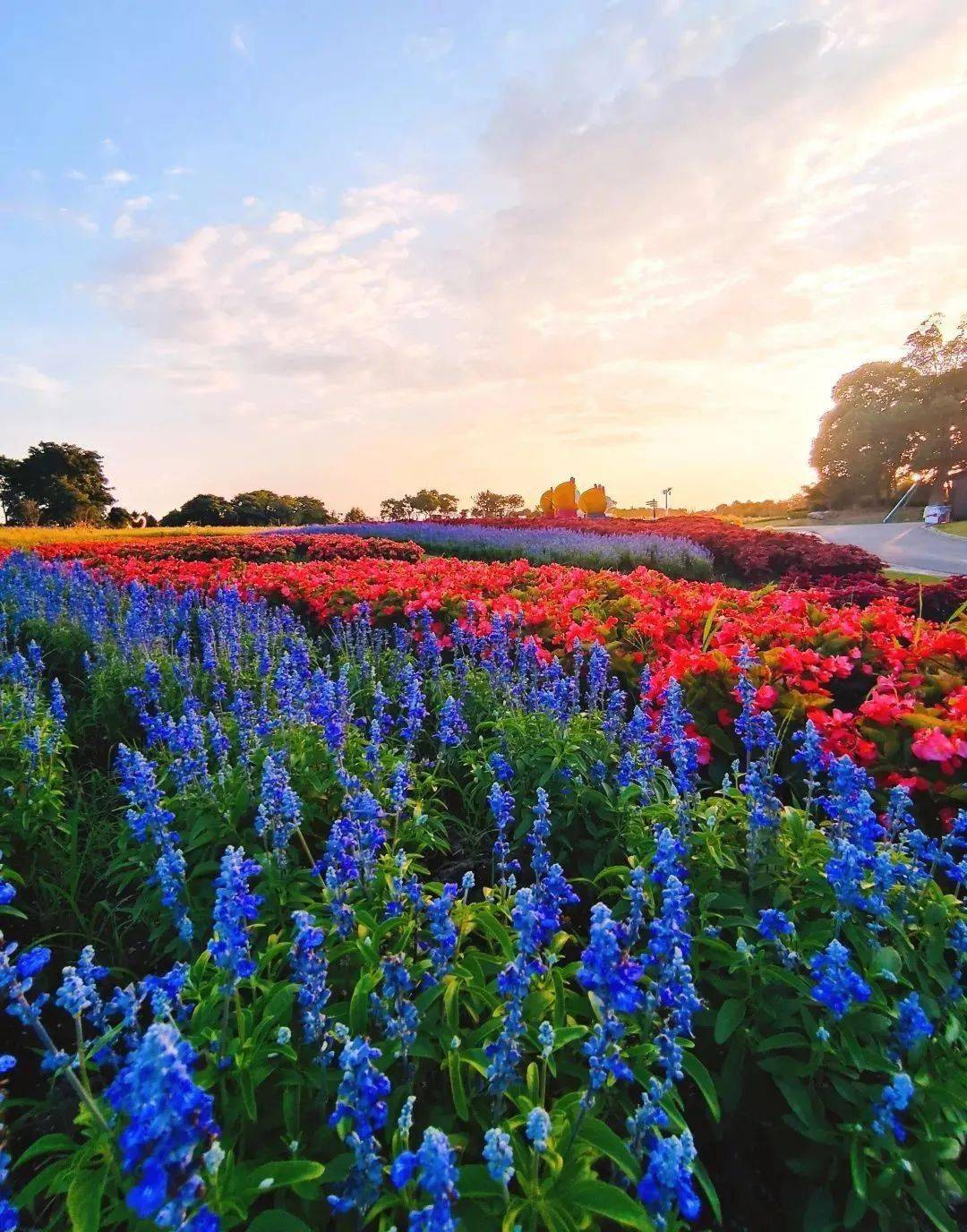 9享周浦花海