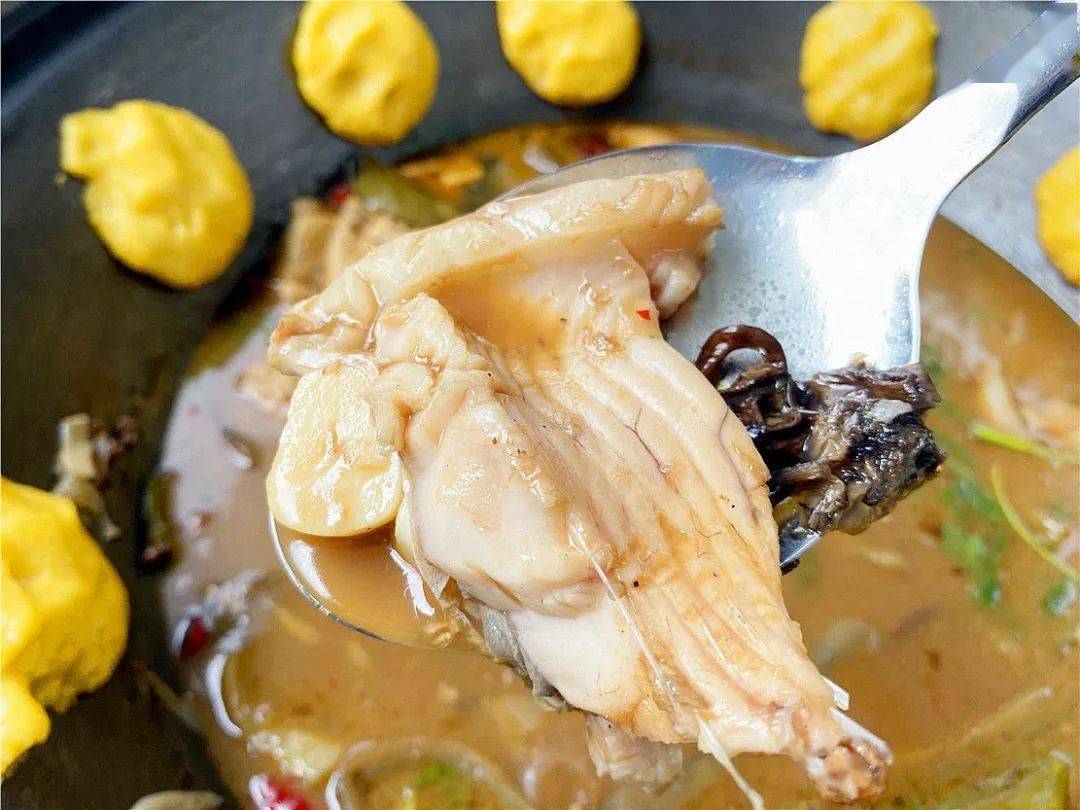 能钓鱼吃鱼!还能在大草坪上遛娃聚会,享受大自然!_景区_杂谈_农家