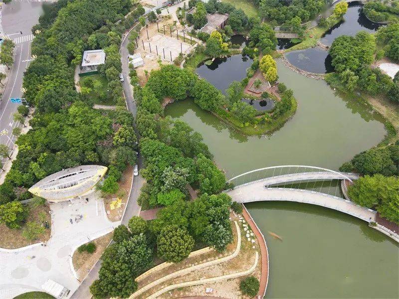 青口中央公园更靓了_改造_汽车城_项目