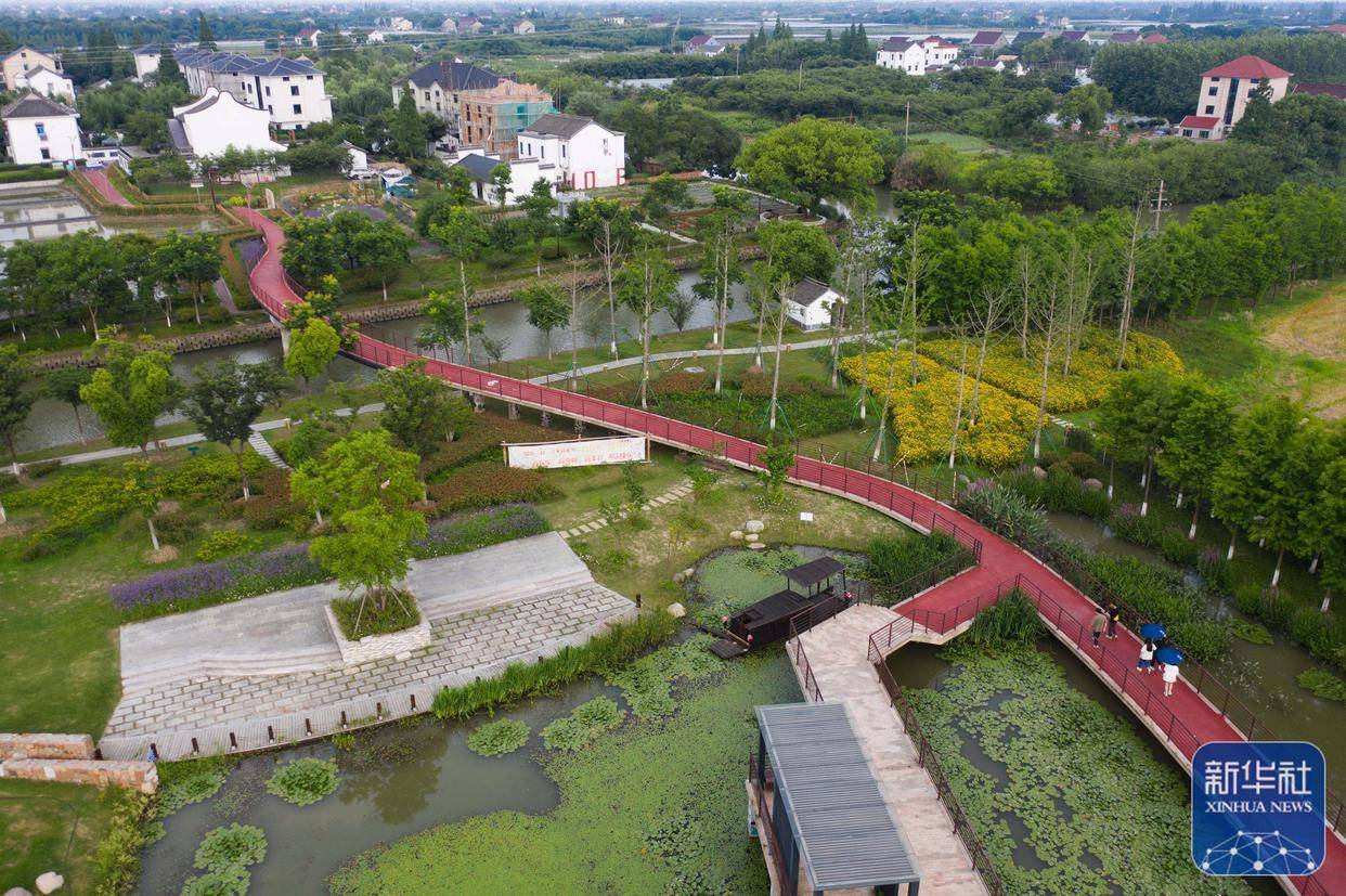 这是嘉兴市南湖区凤桥镇联丰村的绿道和村落景区(6月14日摄,无人机