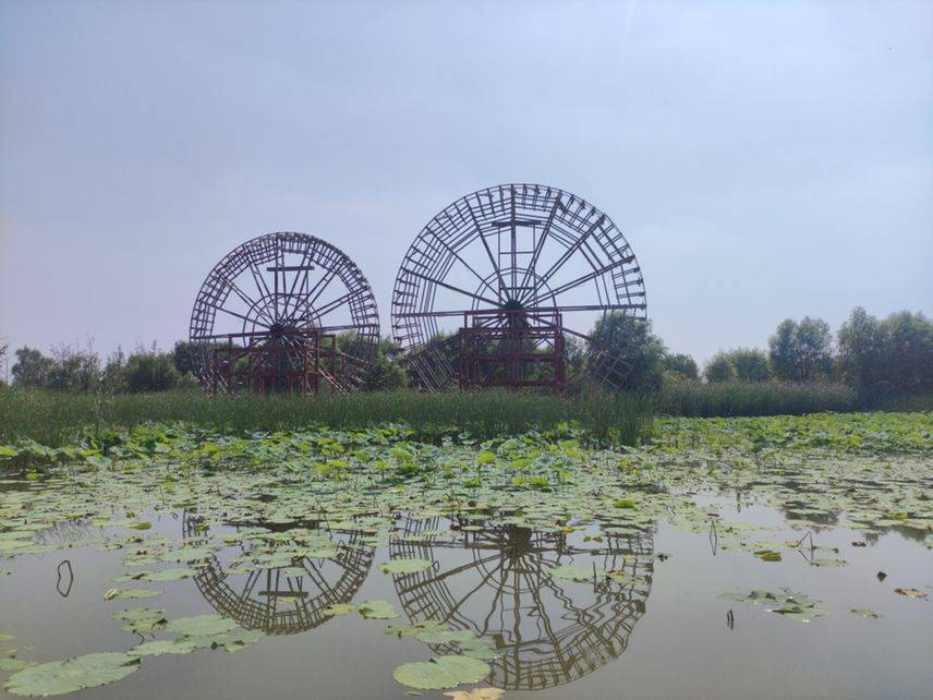 壹点图集丨淄博解锁新副本,在"蓑衣水乡"体验诗和远方_樊村_高青县