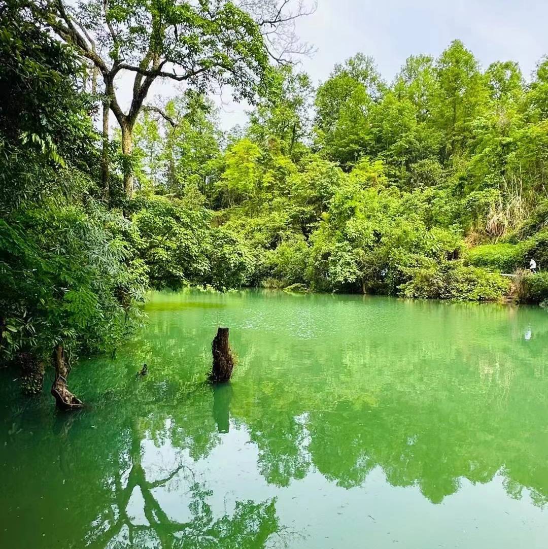 《我是余欢水》在哪个平台播出？人在国外能看么？-斧牛加速器