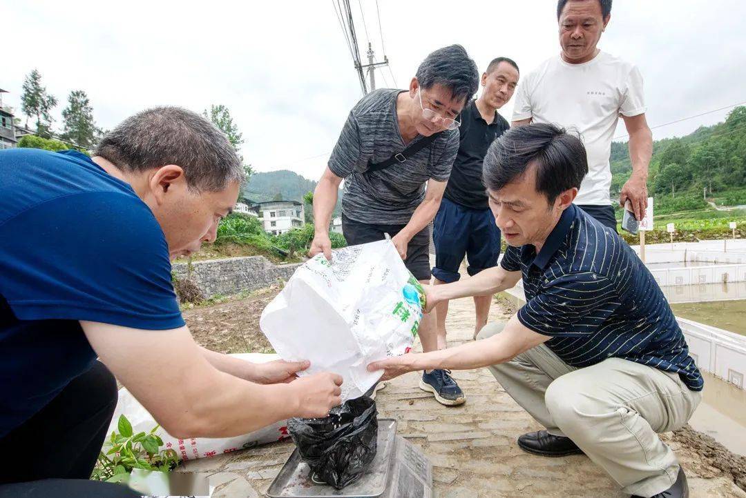 贵州道真县河口镇镇长图片