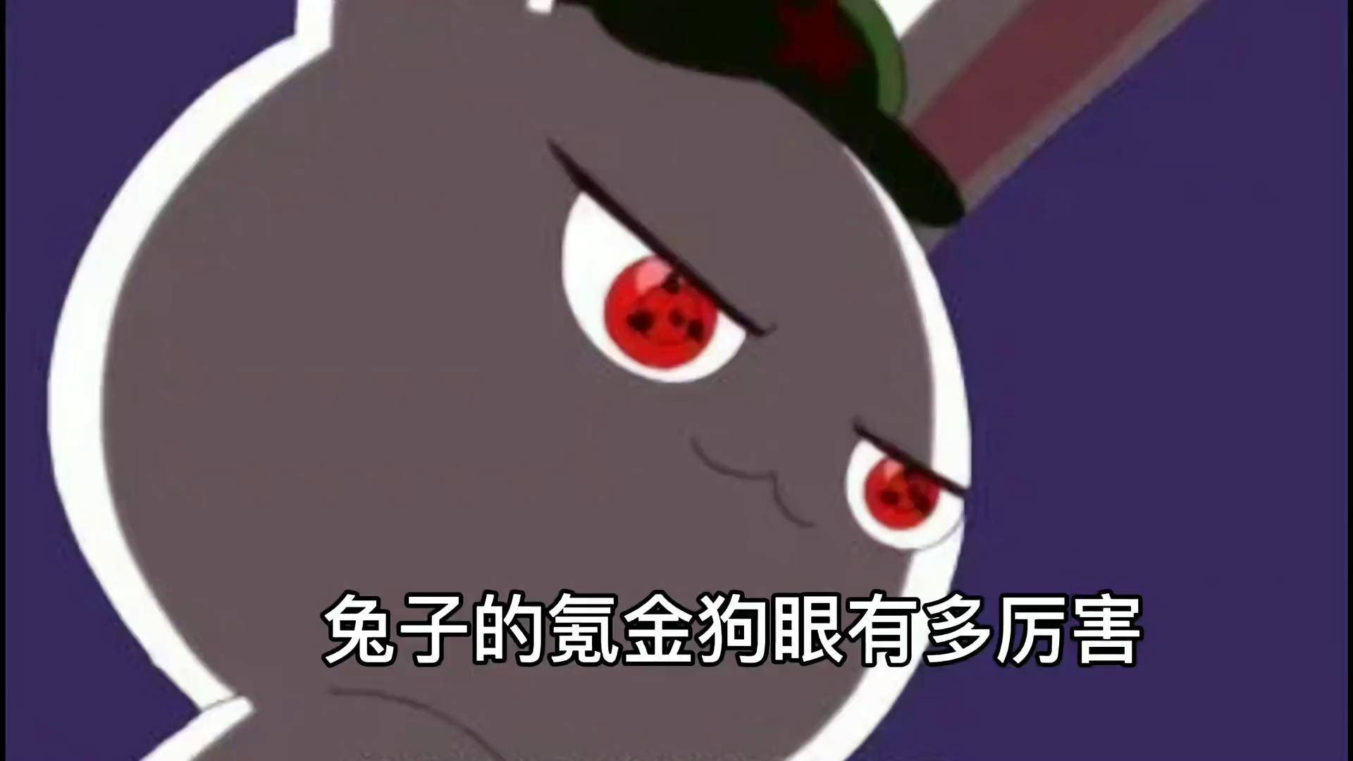那年那兔那些事 兔子的氪金狗眼有多厉害?