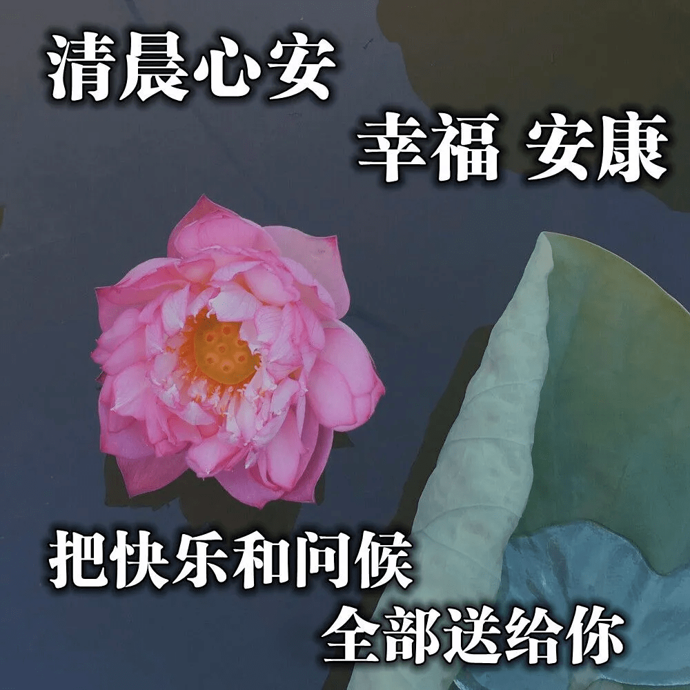 老年人表情包 合集图片