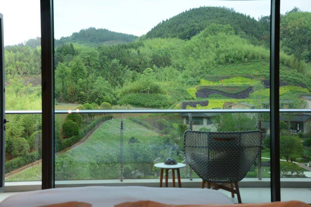 浙江又开一家奢牌酒店!隐匿树海深处,躺平云海入梦,全网首发尝鲜套餐!