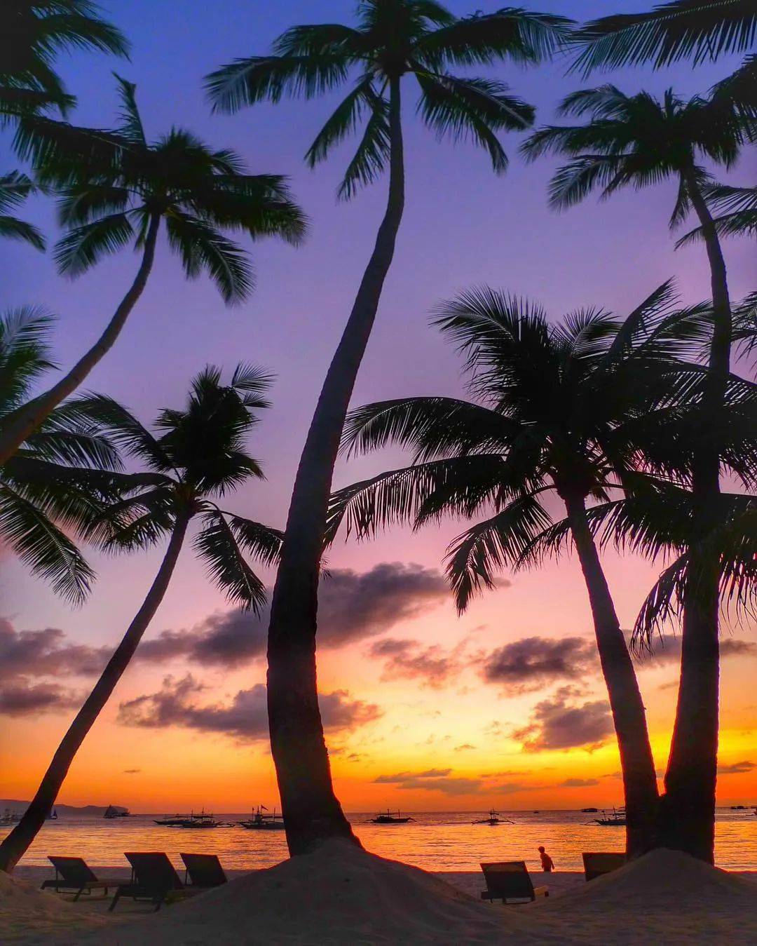 夕阳余晖,椰林树影婆娑_photo_by_大海