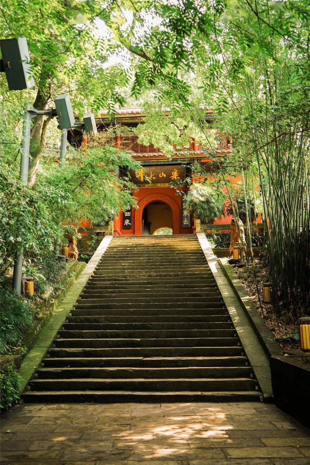周末趁兴而行,定格夏日美好瞬间