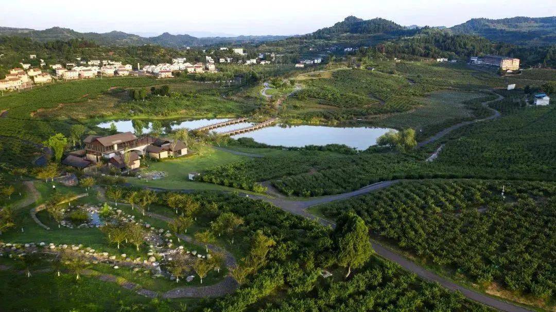 南充一地上榜,风景太美了!_江陵镇_社区_凉山