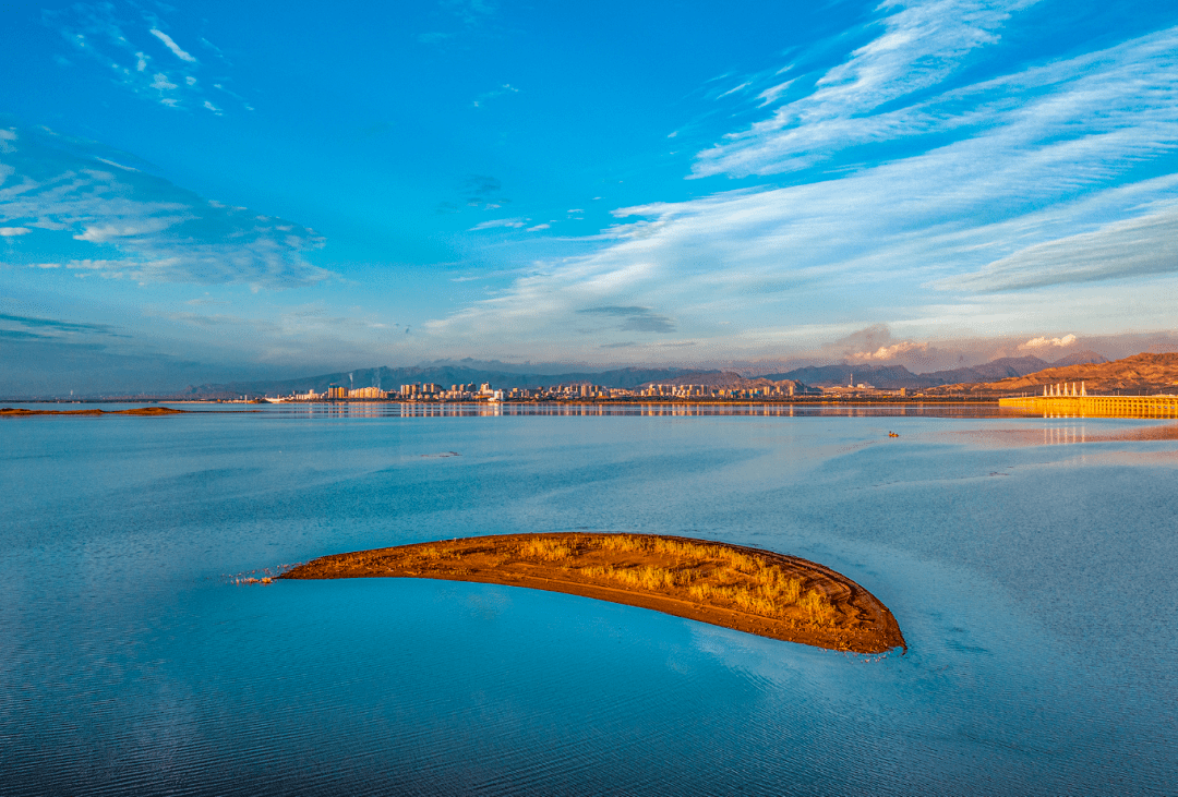 乌海市生态环境局海勃湾区分局全力开展"双公示"录入工作_信息_建设