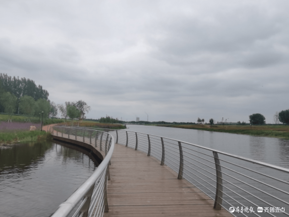 徜徉济宁杨家河畔_王希梅