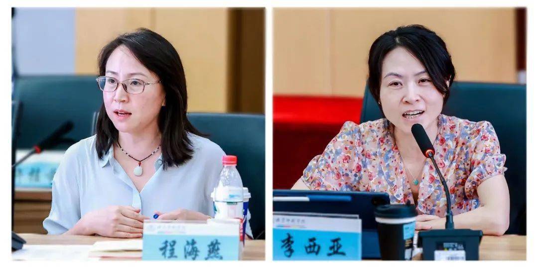 程海燕,李西亚发言湖南师范大学文化和旅游研究院副院长吴亮芳