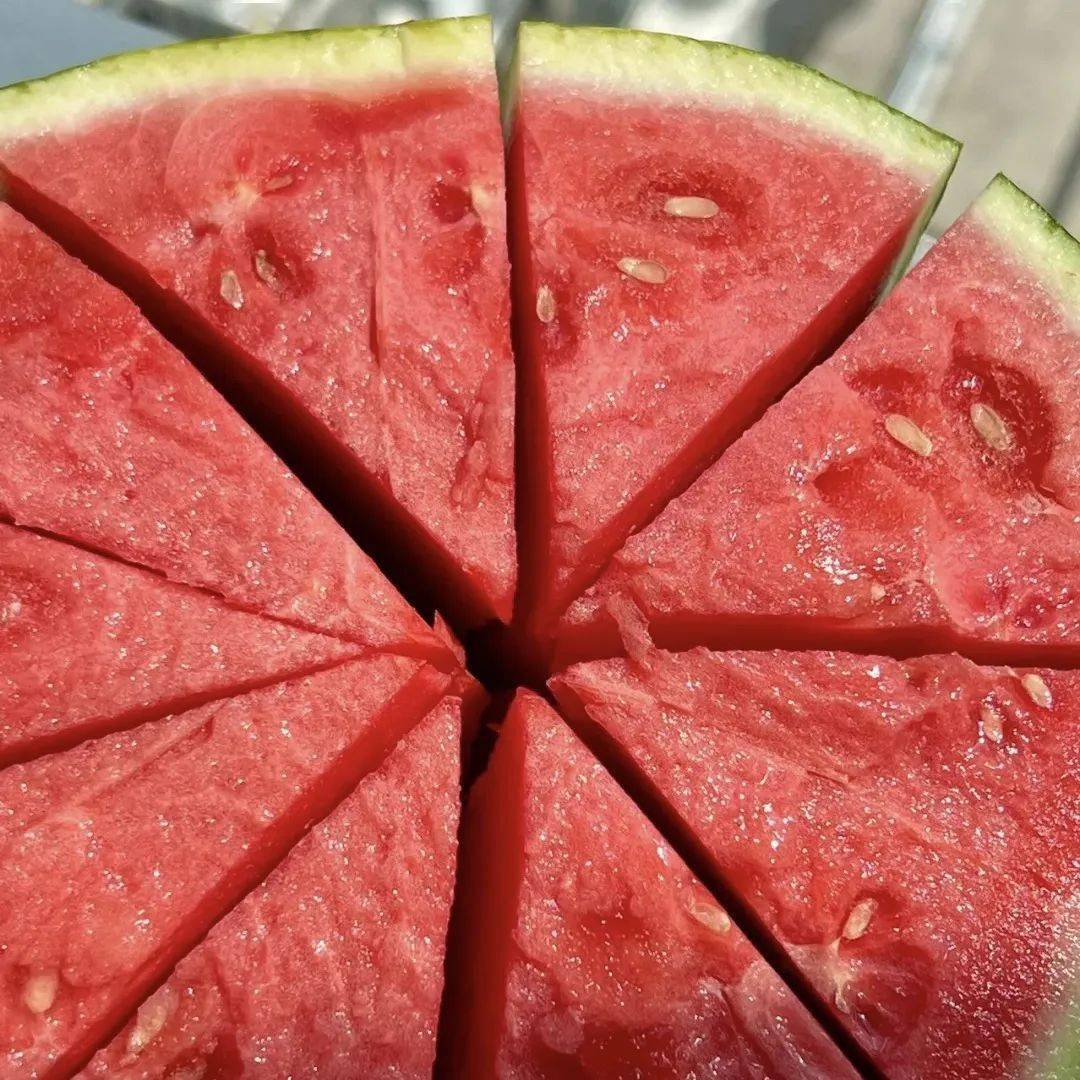 茶店拿比特小西瓜甜蜜"风暴"来袭!_种植_万山_就业