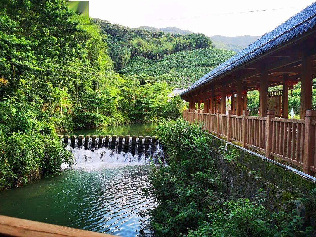 新建村地处平和县国强乡西北部,坐落于闽南第一高峰大芹山半山腰,平均