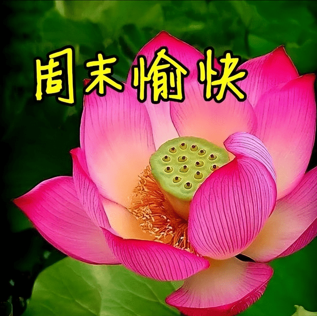 611()ĩϺůľӣ簲DƬÿո_ѺW