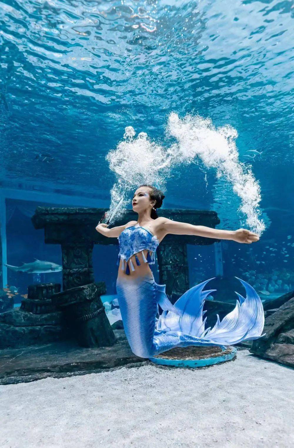 流行开来随着世界各地水族馆,海洋馆的兴盛美人鱼都是童话中的经典