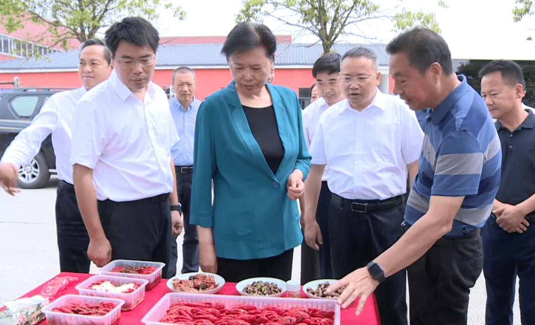 省人大常委会党组书记,常务副主任王艳玲深入我市朱河镇,黄歇口镇部分