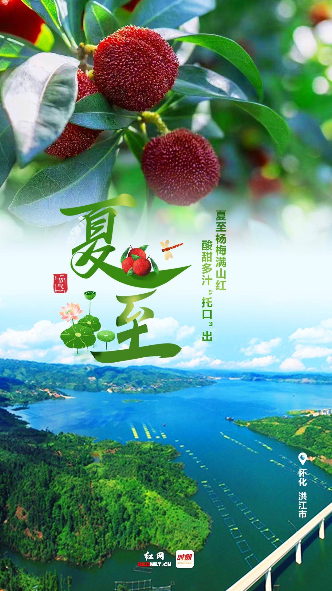 二十四节气·夏至丨夏至杨梅满山红,酸甜多汁"托口"出_带着_汤芸瑄