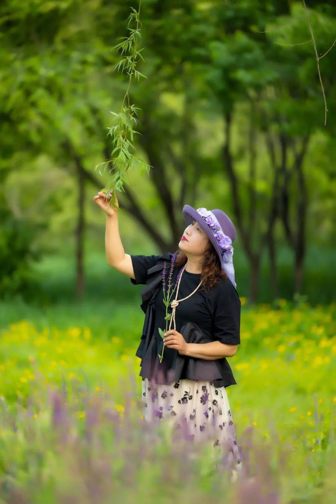 在辽阳太子岛一起坠入迷人的「蓝花鼠尾草」花海吧~