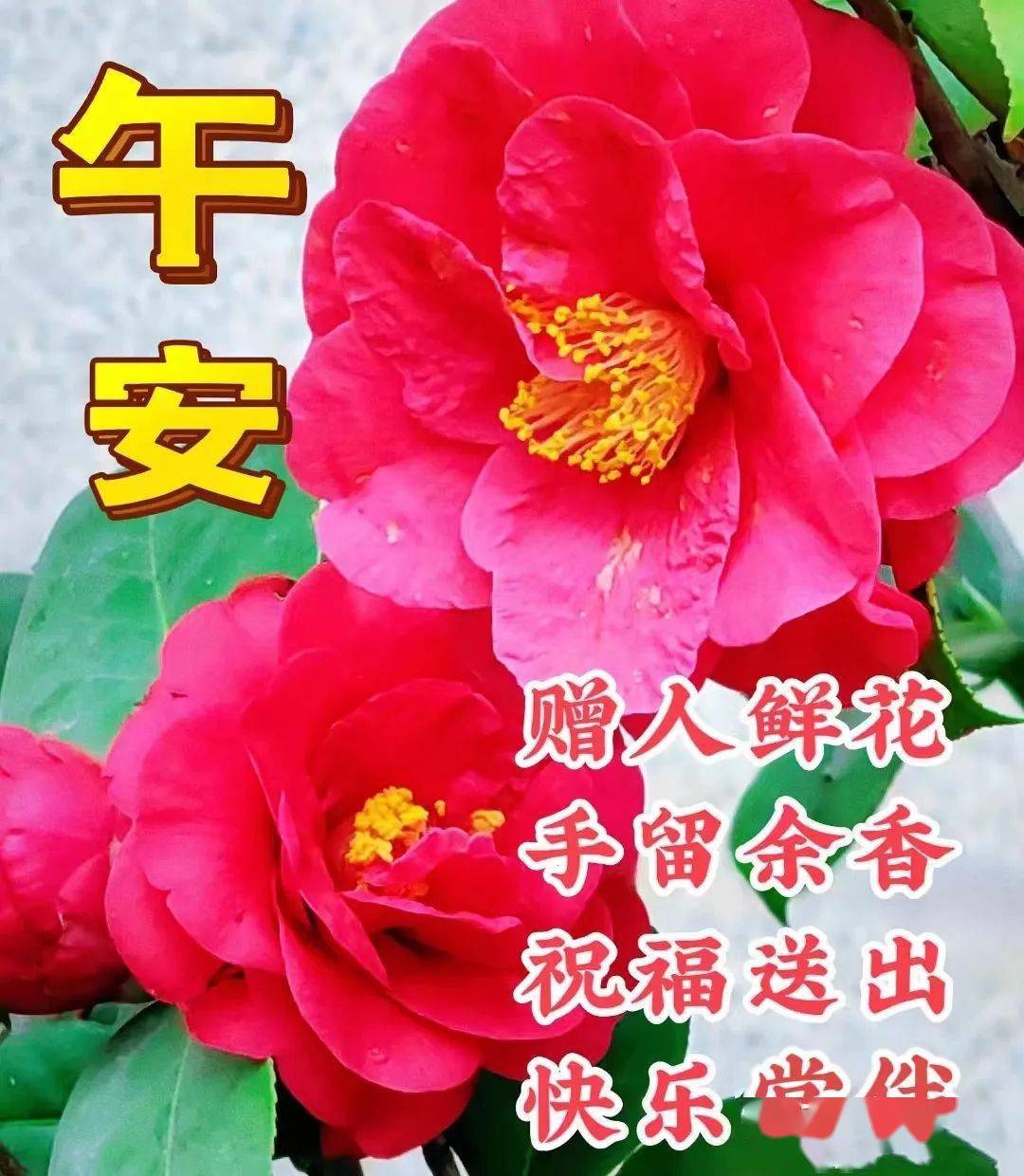 新版非常好看的早安圖片大全,萬事如意,吉祥安康!_祝福_生活_一生