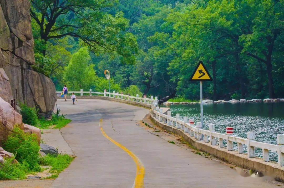 端午假期,在泰山邂逅你的夏日限定美好_山泉_草木_公園