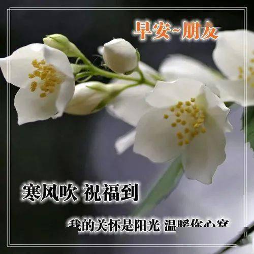 新款早上好图片大全，今天早上好图片最新-早上好的新图片大全动态