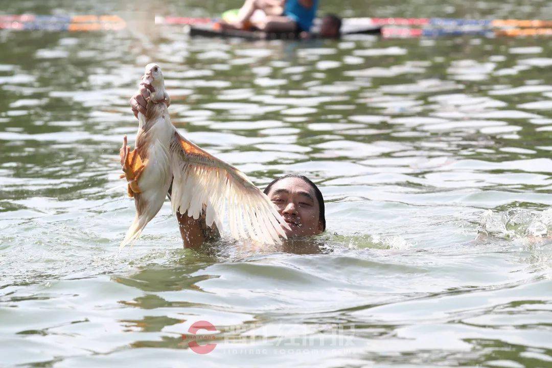 【七律】《安平桥吟草》庄灿煌