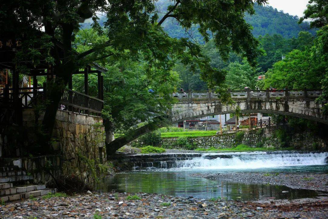 夏日好时光,在吉首小溪村的宁静中享受端午假期_郭晓芳_初审_田野