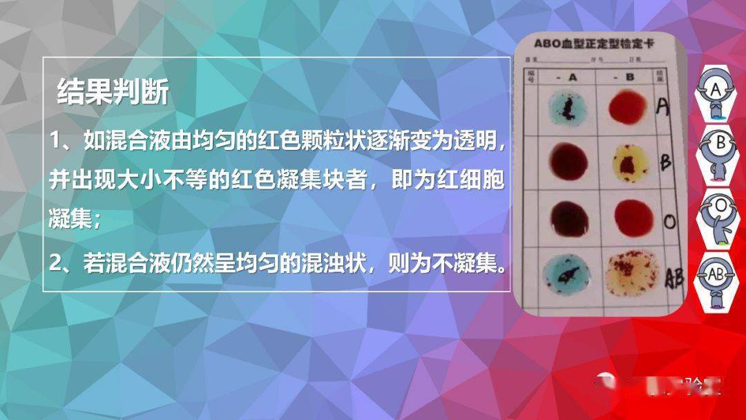 血型鉴定原理2,血型鉴定主侧不凝集,次侧(献血人血清与受血者红细胞)
