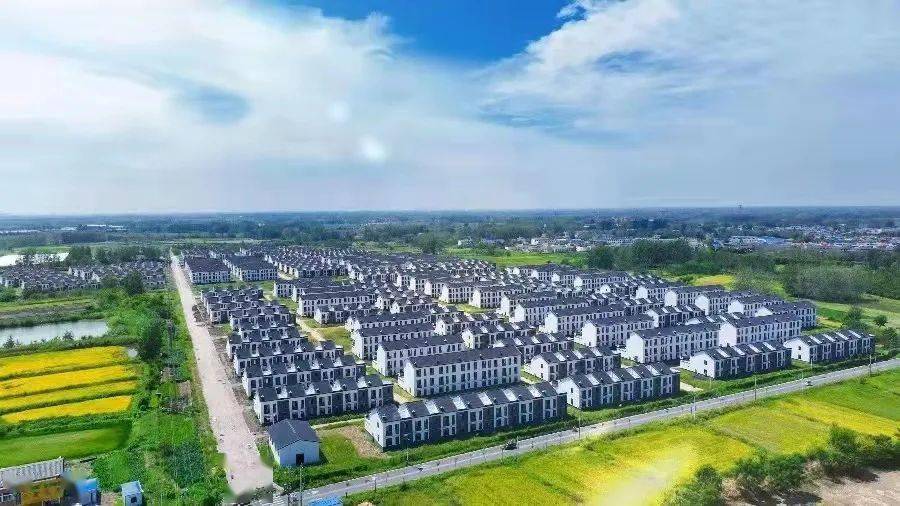 工作_长丰_朱巷镇