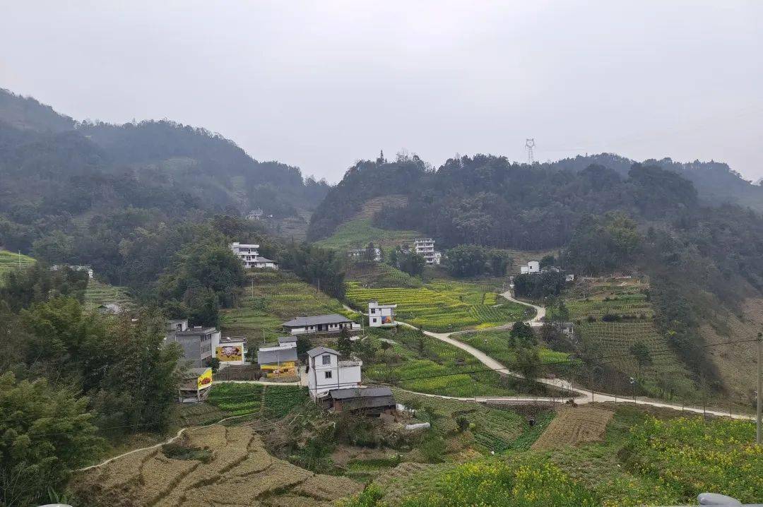 产业蜕变引领乡村建设发展——中和镇赵溪村双窨自然村农旅融合发展