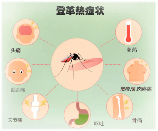 预治登革热全民动起来——防治登革热知识篇 社区 传播 伊蚊