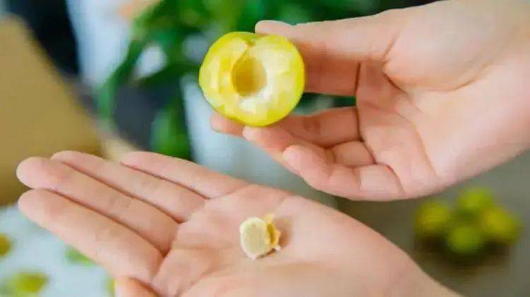 镇宁蜂糖李5斤礼盒装60枚,最低仅需168元!_口感_果子_套餐