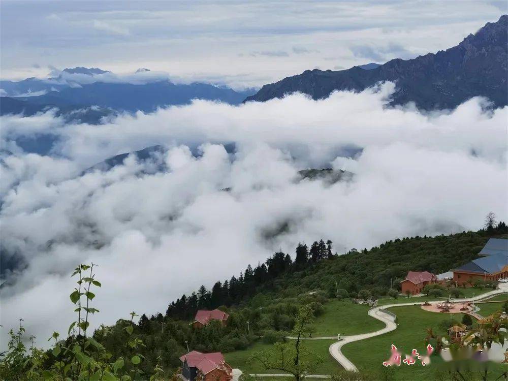 舟曲拉尕山到底有多美,去了才知道!_甘肃_张宝_宋菲菲