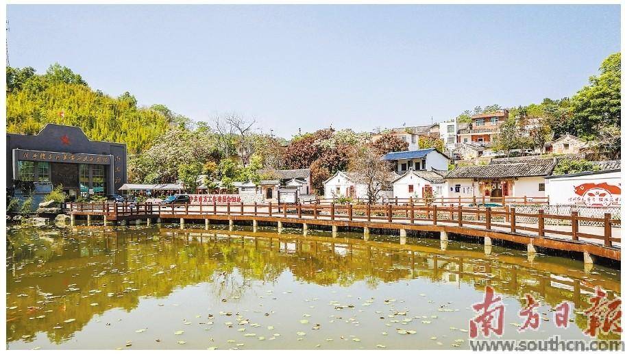 "红绿"交融 带动村庄 致富奔康_发展_红色_枫朗镇