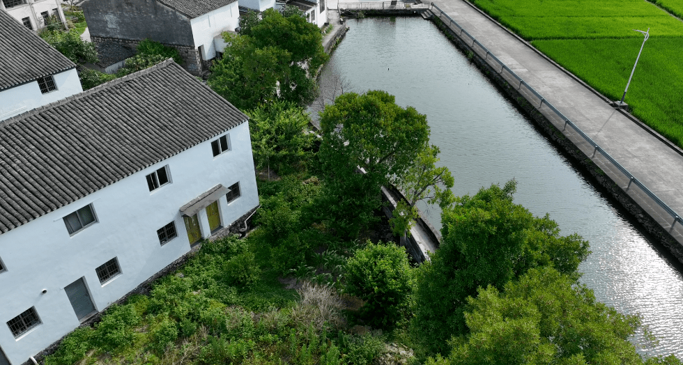 仙降街道锦溪村以"微改精提"打造美丽城镇_整治_村庄_环境