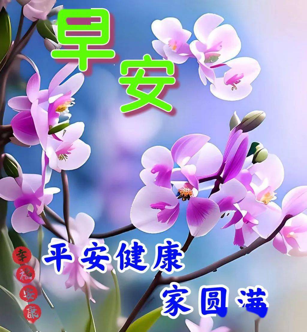 最美新款早上好表情大全,开心昨天,快乐今天_祝福_朋友_平安
