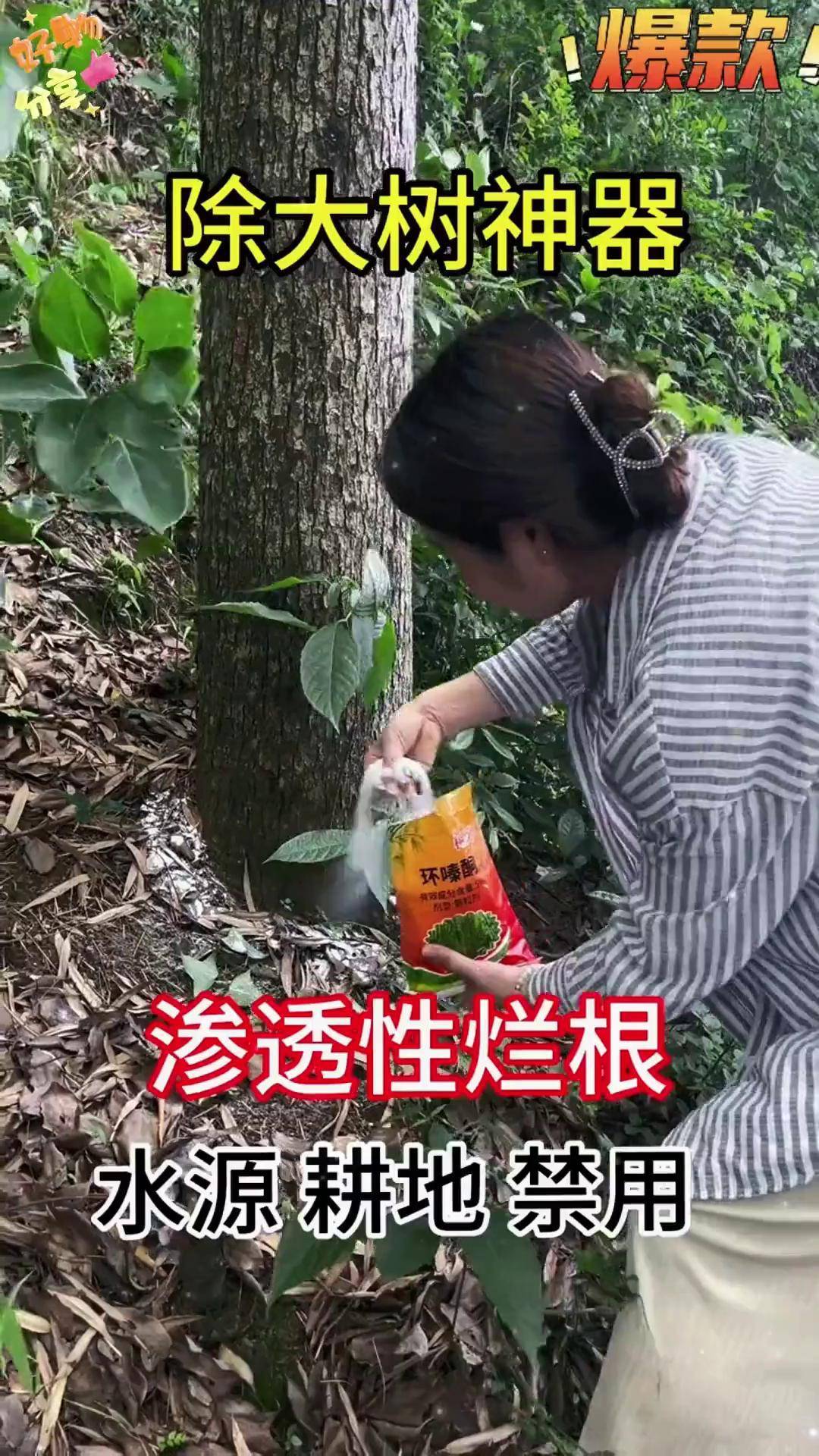 环嗪酮除大树竹子灌木杂草 环嗪酮除草剂 除根烂根渗透力强一次解决