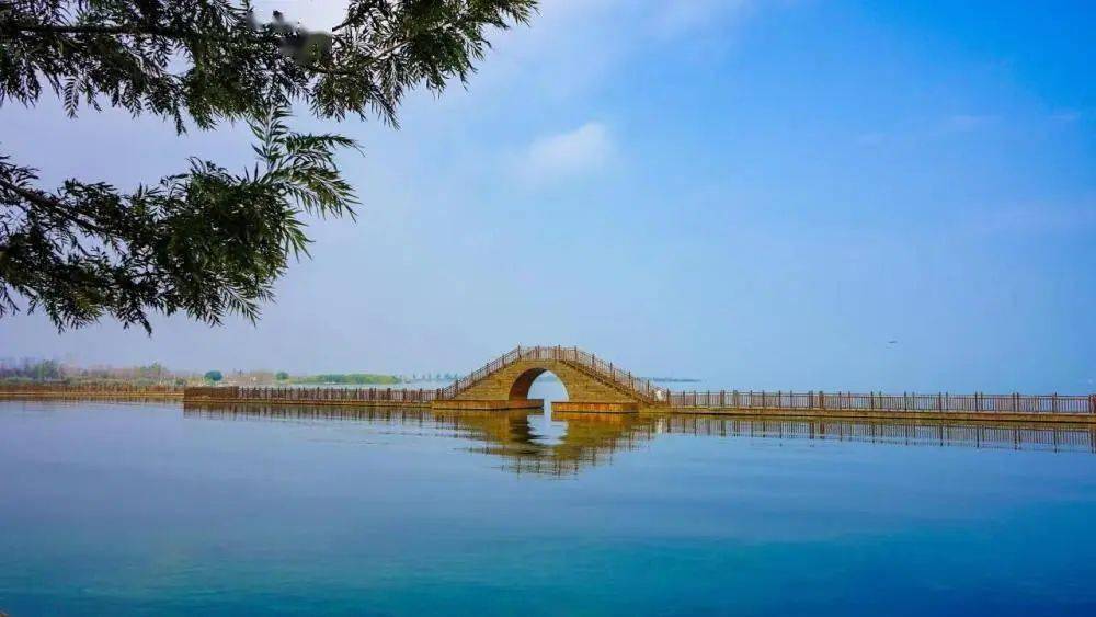 玉溪江川:以水为媒 打造美丽滨湖花园城新名片_星云_的发展_挑战赛