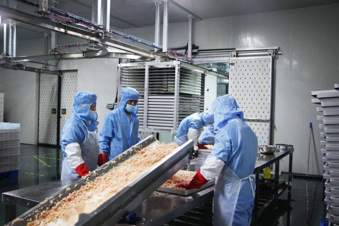 长子县冻干食品产业园一期4条生产线投入使用_项目_宋村_建设