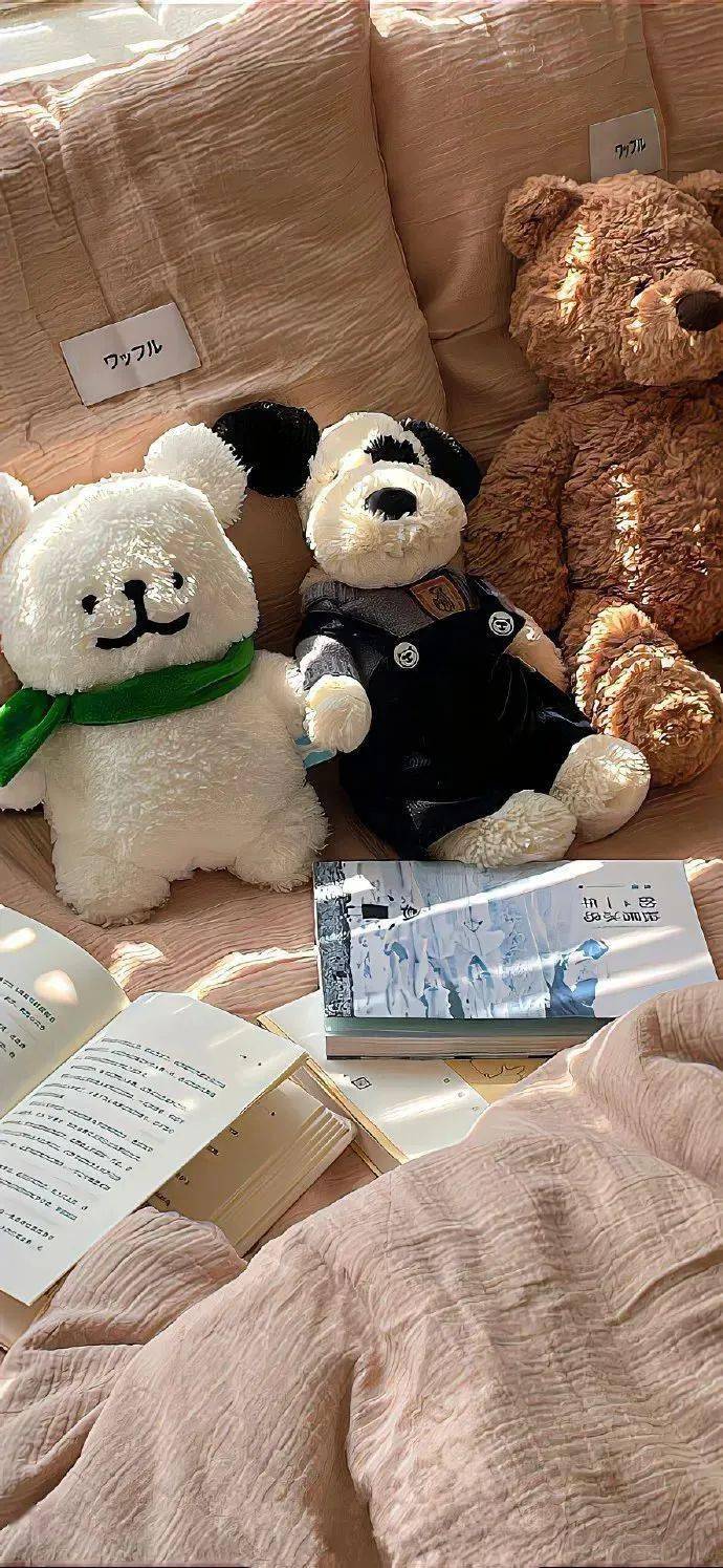 壁纸| "简约高级感" 锁屏壁纸