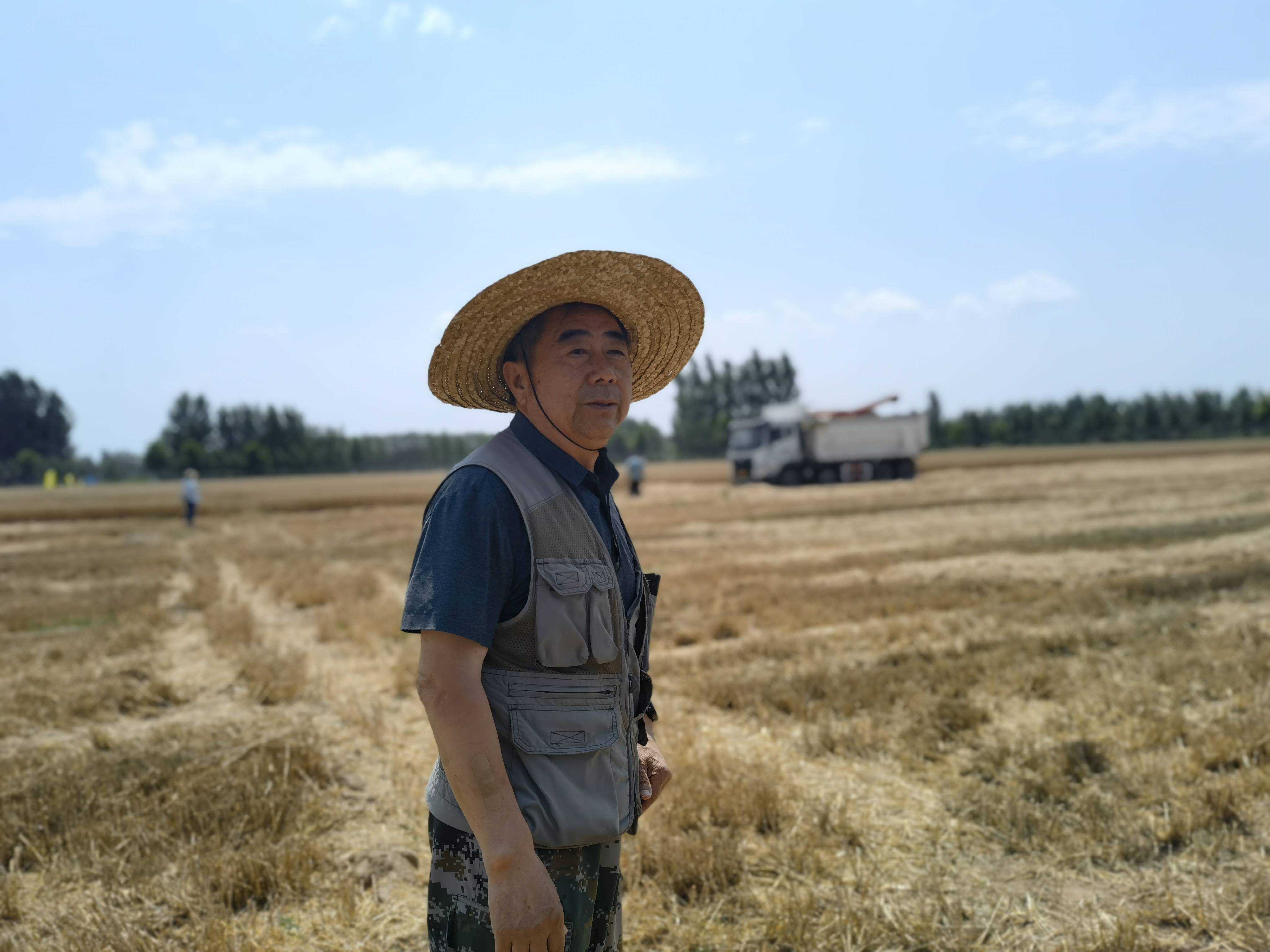 齐河县入选全国创建农业现代化示范区_德州新闻网