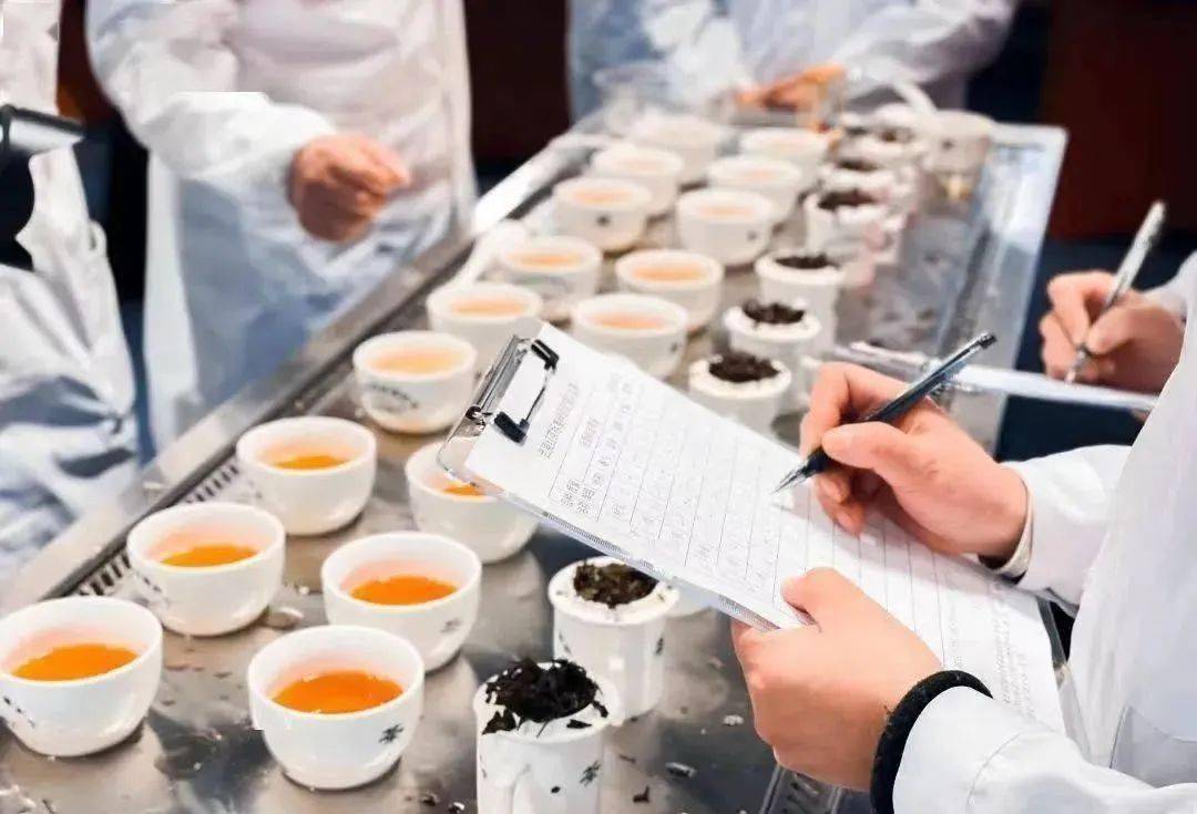 香气 茶叶审评的程序_香气_评比_外形