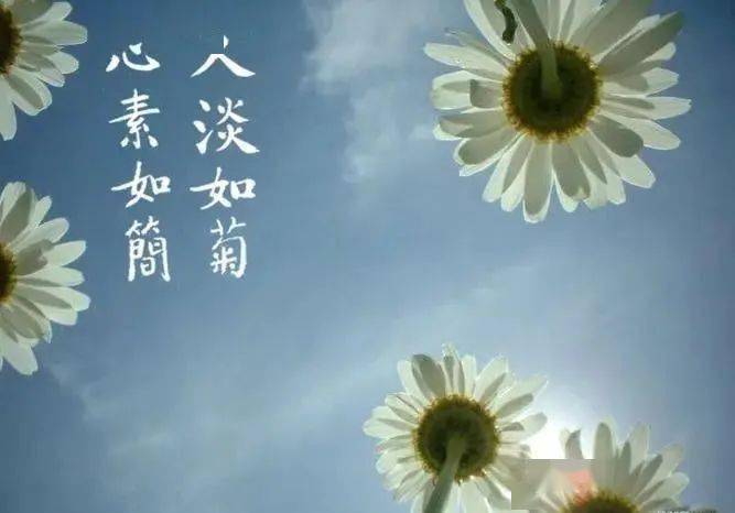 心素如简,人淡如菊!_什么_快意_人心