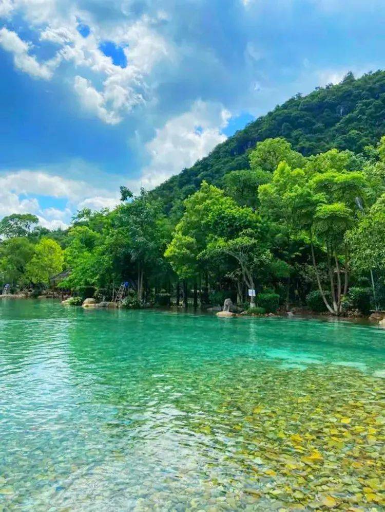 1号【翁源冷泉滩】遇见21℃的夏天,畅游原生态泳池,探访湖心坝客家